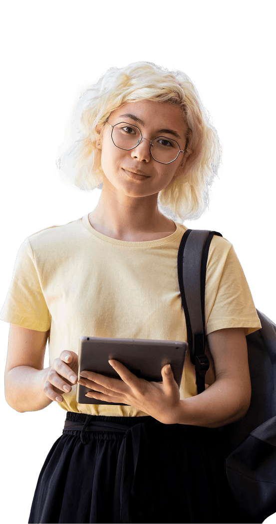 Applicant using the portal